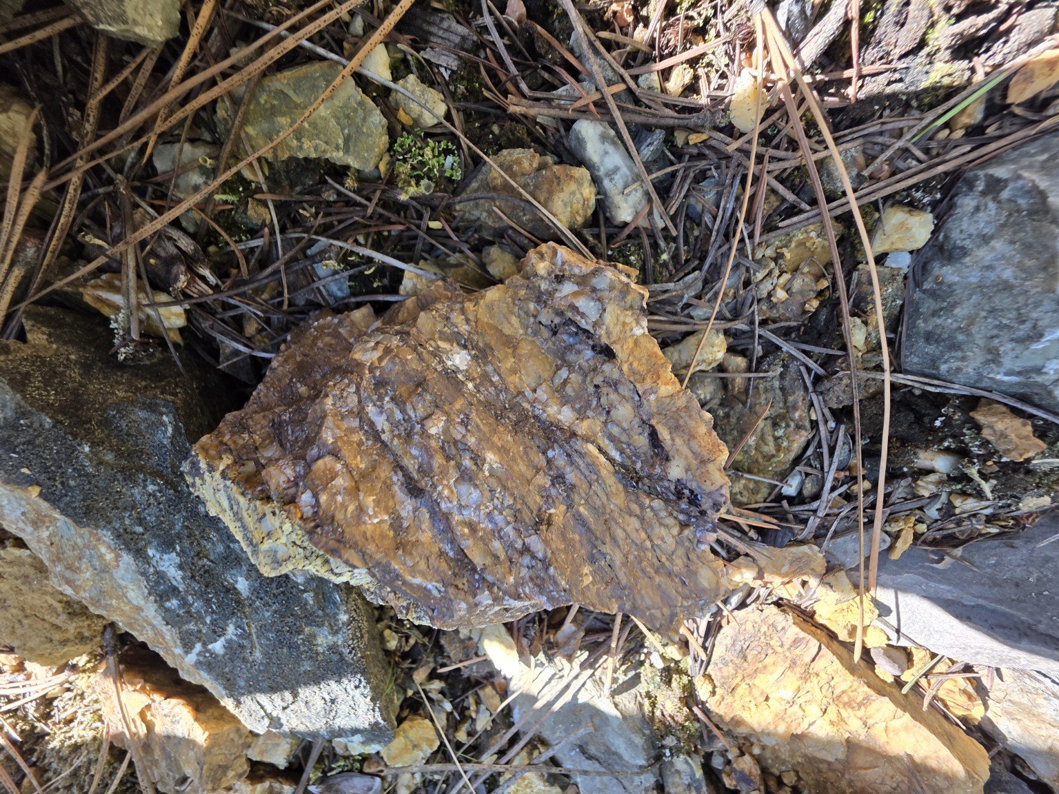 Mineralized quartz specimen